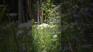 Анна Ахматова "Мне голос был. Он звал утешно..." Читает Таня Тумилевич.  #poem