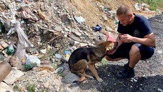 Abandoned and scared, she cried when I approached to help her.