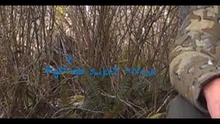 I Was 10 FT Behind A Sasquatch As It Was Screaming, It Didn't See Me