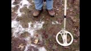 Explorer and Pistol Probe Finds Silver Coins