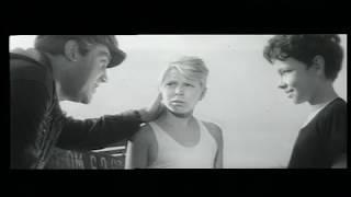 Капроновые сети  1962 DVB