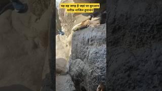Ghare Hira #viralvideo #love #garehira #jablenoor #youtubeshorts #live #trendingshorts #makkah #vira