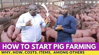 How To Start Pig Farming In a No Smell House For Beginners