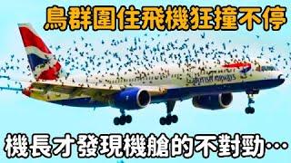 飛機突然遭鳥群瘋狂撞擊，機長這才發現機艙的不對勁……#驚人 #不可思議