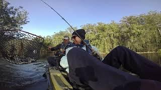 How to Catch Estuary Perch | ESCAPE FISHING WITH ET