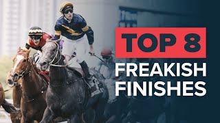 Wildest Horse Race Finishes! | Top 8, Featuring Chautauqua, Mine That Bird, Pakistan Star & Zenyatta