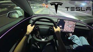 Tesla Model 3 Highland POV Night Drive