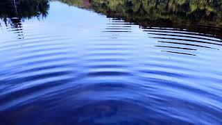 Constrictive and Destructive Interference Wave Patterns of Ripples on a Calm Lake