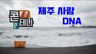 콘테나 '제주 사람 DNA' [KBS 제주]