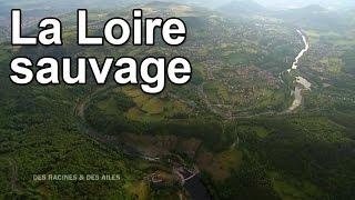 La Loire sauvage