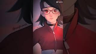 Himawari, Sarada e Sumire