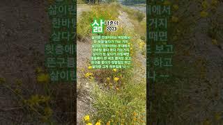 삶   #나훈아#트로트#2023나훈아신곡#나훈아인생곡