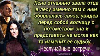 Лена отчаянно звала отца в лесу, а увидев перед собой волчицу с потомством застыла на месте...