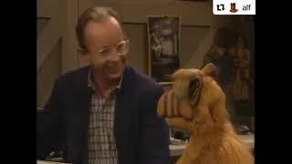 #ALF - New computer shopping service ! alf best moments Alf