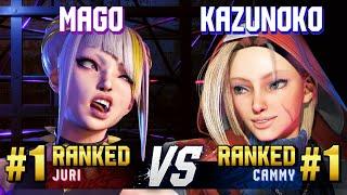 SF6 ▰ MAGO (#1 Ranked Juri) vs KAZUNOKO (#1 Ranked Cammy) ▰ High Level Gameplay