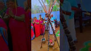 Pongal Celebration In Our Street