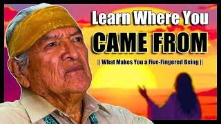 Native American (Navajo) Teaching... What Makes You A Human?