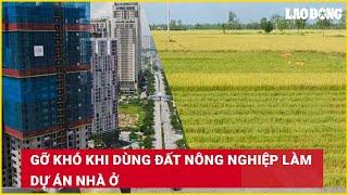 Gỡ khó khi dùng đất nông nghiệp làm dự án nhà ở | Báo Lao Động