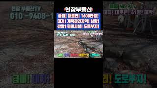시골 대로변 싼 대지 대박 1600만원 61.7평 카페부지 주택부지 #급매 #부동산 #대로변 #대지 #카페부지 #전원주택부지 #싼땅 #임현리