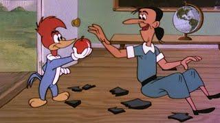 The Perfect Student | 2.5 Hours of Classic Cartoons | Woody Woodpecker