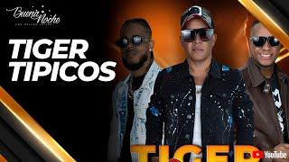 TIGER TÍPICOS: AUTÉNTICO SABOR DEL MERENGUE TÍPICO | BUENA NOCHE