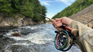 Another Ausable River fly fishing video