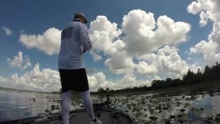 KICKERFISH MAX TOPWATER BLOW UP