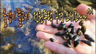 [충북괴산]산자락 아래 다슬기`물고기 노니는 550평 땅과 38평 주택입니다#전원주택매매#농가주택매매#충북토지매매#청천면토지매매#괴산토지매매#청주부동산#충청도전원주택매매#괴산부동산