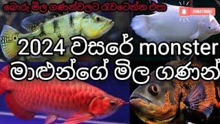 2024 monster fish price sri lanka | 2024 monster මාලුන්ගෙ අලුත් මිල ගණන්..!! ||sldog&fish