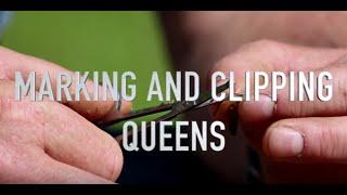 Marking and Clipping Queens