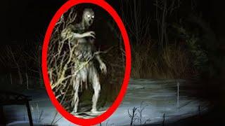 Top 5 Haunted Forests in Europe You Must Avoid After Dark