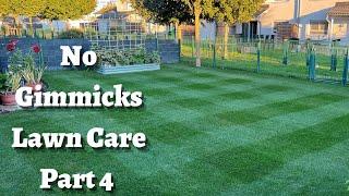 When and how to fertilize your lawn, Solved!