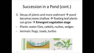 Pond Succession