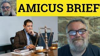  Amicus Brief Meaning Amicus Curiae Bried Examples Amicus Curiae Defined Amicus Brief Amicus Curiae