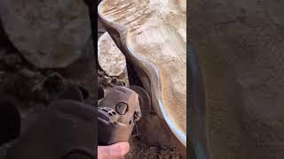 Amazing Wood Art Creator ! Best creative ideas with wood 2021 #wood #short37