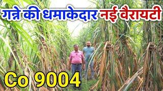 गन्ने की धमाकेदार नई वैरायटी | Co9004 | Ganne Ki nayi Variety 9004 | Ganna Variety Evergreen world