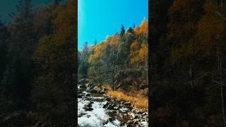 Цени каждый миг #природа