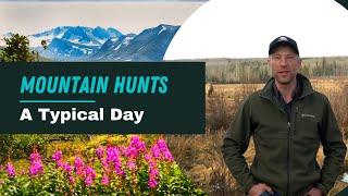 A Typical Mountain Hunting Day With Goldenbear Outfitting