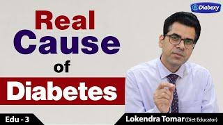 What is the Main Cause of Diabetes | EDU - 3 | Diabexy