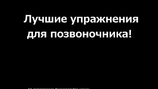 Комплекс упражнений для позвоночника "Крокодил".