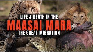 The Epic Struggle of Life & Death During the Great Migration in the Maasai Mara, Kenya, Africa