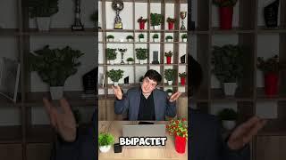 Подбор новостроек в Спб #новостройка #питер #недвижимость #свадьба