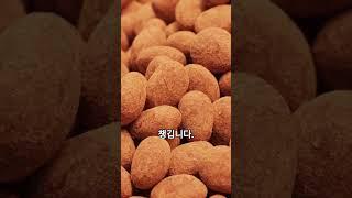 “한국 올때마다 무조건 사갑니다”…필수 ‘쇼핑템?’