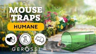 Humane Mouse Traps Indoor for Home. No Kill Mouse Traps Catch and Release. Safe for Children & Pets