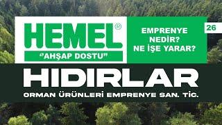 Emprenye Nedir, Nasıl Uygulanır, Ahşap Koruyucu