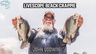 Livescope Black Crappie with John Godwin // Godwin's new boat