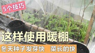 这样用暖棚, 冬天也能种菜 Growing vegetables in winter by greenhouse