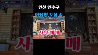 [사찰매매] 인천 아담한 법당! 4.5억지하철역세권 암자, 절, 기도터