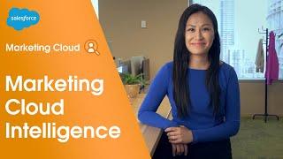 Salesforce Marketing Cloud Intelligence Demo