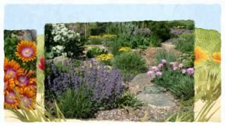 Watering Tools and Drought Tolerant Plants at Tagawa Garden